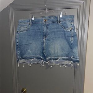 Lane Bryant Light Blue Distressed Denim Shorts